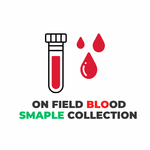 Blood Sample Collection