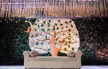 Savis Weddings & Events