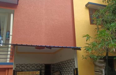 Professional Painting Works