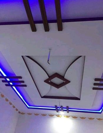 Professional Painting Works