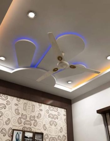 Professional Painting Works