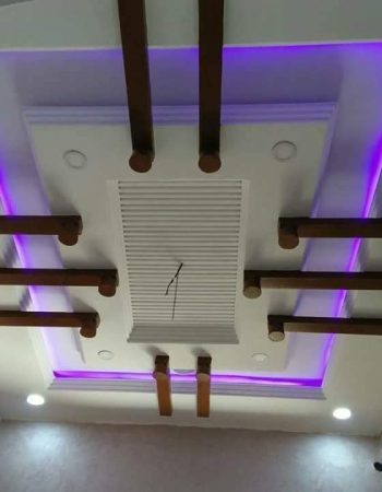 Professional Painting Works
