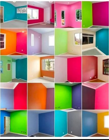 Professional Painting Works